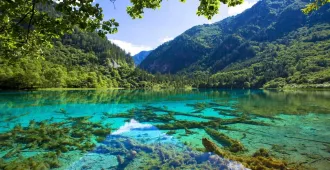 China Chengdu Bipenggou Huanglong  - ทัวร์จีน เฉิงตู ปี้เผิงโกว หวงหลง  (ไม่ลงร้าน)