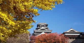 Japan Fukuoka Kyushu Saga Autumn - ทัวร์ญี่ปุ่น ฟุกุโอกะ คิวชู ซากะ คุมาโมโตะ วัดไดโคเซ็นจิ ศาลเจ้ายูโทคุ อินาริ ใบไม้เปลี่ยนสี