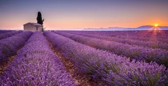 Europe Spain France Monaco Italy Valensole - ทัวร์ยุโรป มหัศจรรย์...สเปน ฝรั่งเศส โมนาโค อิตาลี ชมทุ่งดอกลาเวนเดอร์