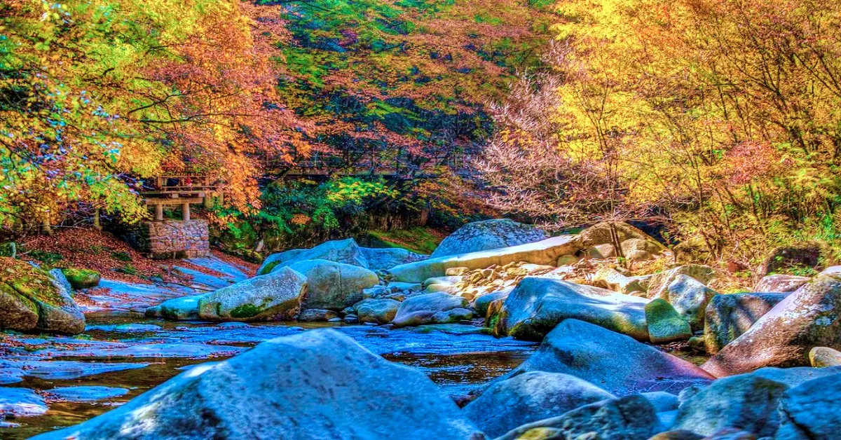China Chongqing Dazu Guangwu Shan Mountain Lingquan Temple Ginkgo Avenue Autumn - ทัวร์จีน ฉงชิ่ง ต้าจู๋ กวงอู้ซาน วัดหลิงฉวน ถนนแแปะก๊วย ใบไม้เปลี่ยนสี (ไม่ลงร้าน)