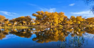 China Southern Xinjiang Kashgar Urumqi Red Sea Scenic Spot Autumn - ทัวร์จีน ทัวร์คุณธรรม ซินเจียงใต้ คัชการ์ อูหลู่มู่ฉี จุดชมวิวทะเลแดง ใบไม้เปลี่ยนสี
