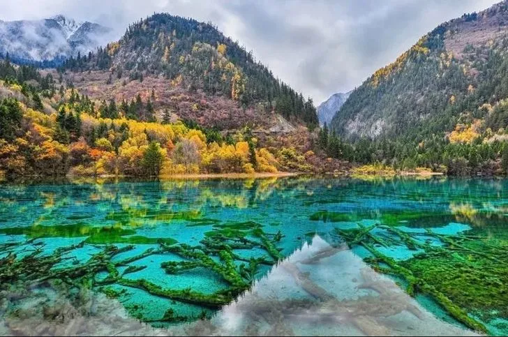 China Chengdu Bipenggou Dagu Glacier Jiuzhaigou - ทัวร์จีน ซุปตาร์...เฉิงตู ปี้เผิงโกว ต๋ากู่ปิงชวน จิ่วจ้ายโกว (ไม่ลงร้าน) 