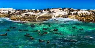 South Africa Suncity Johannesburg Pertoria Cape Town - ทัวร์แอฟริกาใต้ โจฮันเนสเบิร์ก พรีทอเรีย ซันซิตี้ เคปทาวน์ 