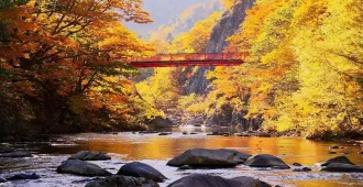 Japan Hokkaido Toya Jozankei Otaru Autumn - ทัวร์ญี่ปุ่น ซุปตาร์ ฮอกไกโด ทะเลสาบโทยะ โอตารุ ล่องเรือ นั่งกระเช้า ชมใบไม้เปลี่ยนสี