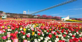 China Chengdu Siguniangshan Songpinggou - ทัวร์จีน เฉิงตู อุทยานสี่ดรุณี ซงผิงโกว (ไม่ลงร้าน)