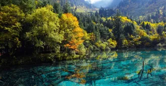 China Chengdu Jiuzhaigou Dagu  Glacier  Siguniangshan - ทัวร์จีน ซุปตาร์ เฉิงตู จิ่วจ้ายโกว ต๋ากู่ปิงชวน ภูเขาสี่ดรุณี (ไม่ลงร้าน)