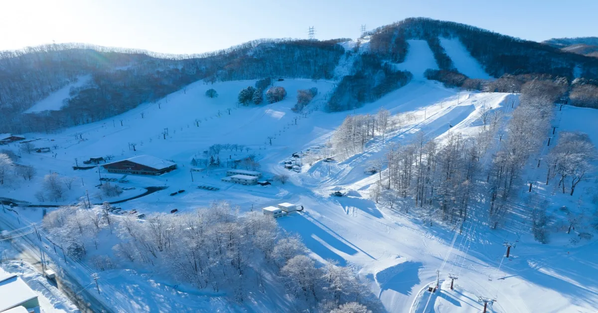 Japan Hong Kong Hokkaido Sapporo Ski Free Day - ทัวร์ญี่ปุ่น ฮ่องกง ฮอกไกโด เที่ยวสุดคุ้ม 2 ดินแดนแสนฟิน เล่นสกี ไหว้พระ 3 วัดดัง (อิสระ 1 วัน)