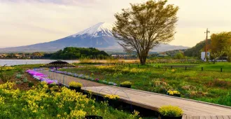 Japan ToKyo Osaka Kyoto Oishi Park Green Season - ทัวร์ญี่ปุ่น โตเกียว โอซาก้า เกียวโต สวนโออิชิ 