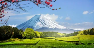 Japan Osaka Tokyo Fuji Autumn - ทัวร์ญี่ปุ่น โอซาก้า โตเกียว ฟูจิ ชมวิวภูเขาไฟฟูจิท่ามกลางไร่ชาเขียวและหมู่บ้านน้ำใสโอชิโนะฮักโก ใบไม้เปลี่ยนสี(อิสระ 1 วัน)