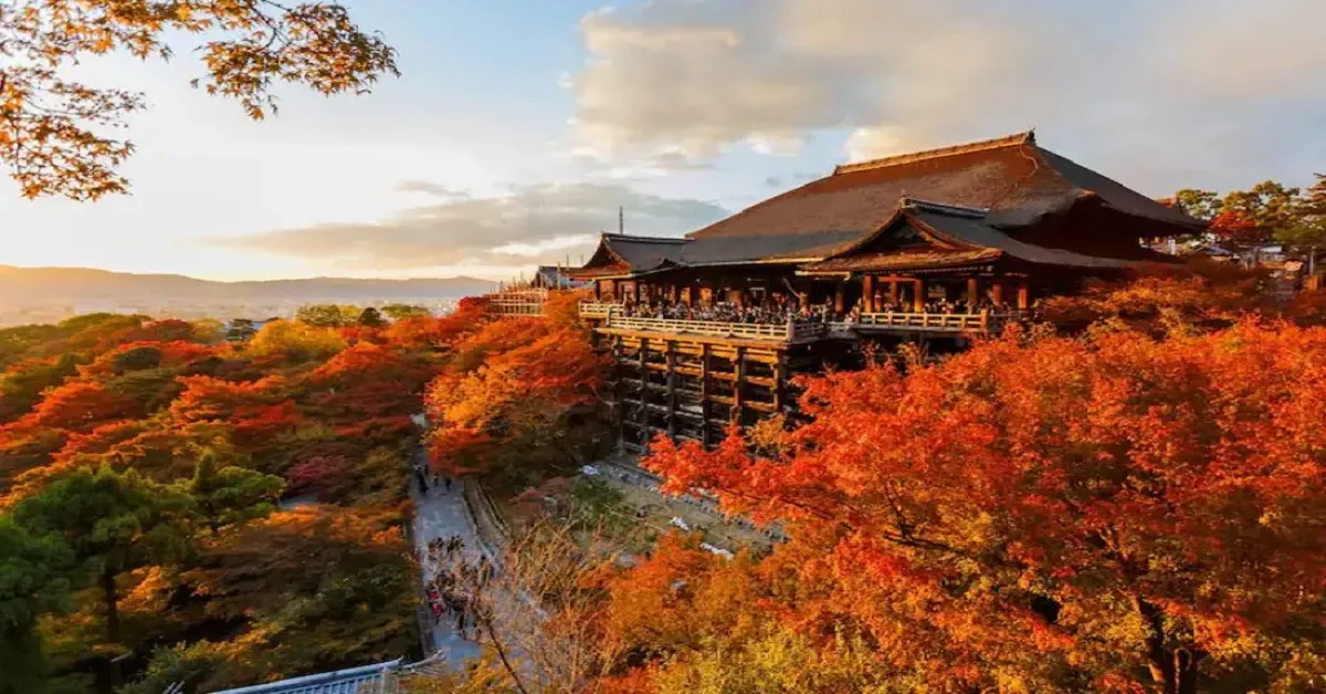 Japan Osaka Nabana no Sato Takayama Autumn - ทัวร์ญี่ปุ่น มหัศจรรย์ โอซาก้า นาบานาโนะซาโตะ ทาคายาม่า ใบไม้เปลี่ยนสี