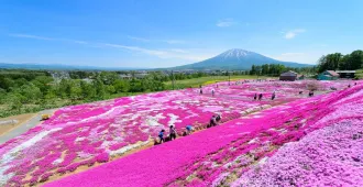 Japan Hokkaido Asahikawa Sapporo - ทัวร์ญี่ปุ่น ฮอกไกโด อาซาฮิกาว่า ซับโปโร โอตารุ ทุ่งดอกพิ้งค์มอส อิสระ 1 วัน