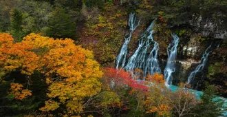 Japan Hokkaido Obihiro Tokachi Onsen Autumn - ทัวร์ญี่ปุ่น ฮอกไกโด โอบิฮิโระ โทคาจิ แช่น้ำแร่ธรรมชาติ น้ำตกชิราฮิเกะ สวนสัตว์อาซาฮิยามะ ศาลเจ้าฮอกไกโด ใบไม้เปลี่ยนสี