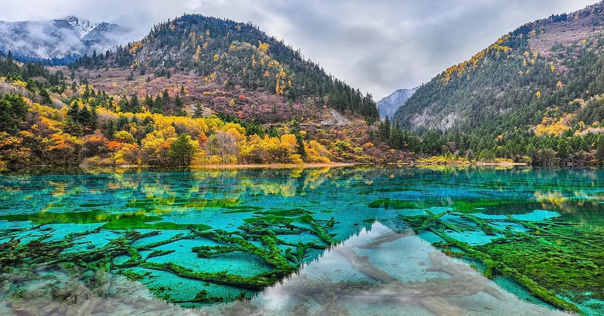 China Chengdu Siguniangshan Jiuzhaigou - ทัวร์จีน เฉิงตู สี่ดรุณี ต๋ากู๋การ์เซีย จิ่วจ้ายโกว (ไม่ลงร้าน)