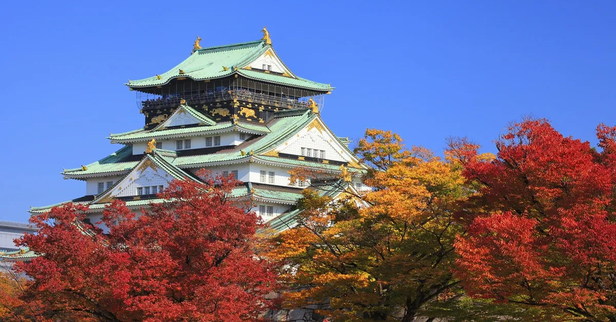 Japan Osaka Nara Kyoto Uji - ทัวร์ญี่ปุ่น โอซาก้า นารา เกียวโต อูจิ อิสระท่องเที่ยว 1 วัน