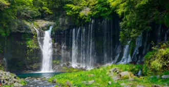 Japan ToKyo Osaka Kyoto Makaino Farm - ทัวร์ญี่ปุ่น โตเกียว โอซาก้า เกียวโต ชมวิวฟูจิหลักล้านฟาร์มมาคาอิโนะ