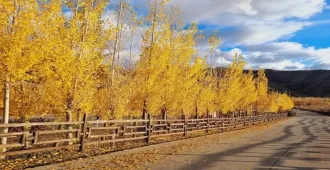 China Xinjiang Kanas Lake Keketuohai Hemu Village Sayram Autumn - ทัวร์จีน ซินเจียง คานาสือ เค่อเค่อทั่วไห่ หมู่บ้านเหอมู่ชุน ทะเลสาบไซลีมู่ ใบไม้เปลี่ยนสี (ไม่ลงร้าน)