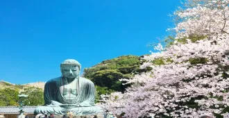 Japan Tokyo Freeday Or Disneyland Oshino Hakkai Blossom Flora - ทัวร์ญี่ปุ่น โตเกียว อิสระเที่ยวเต็มวัน หรือ โตเกียวดิสนีย์แลนด์ หมู่บ้านน้ำใสโอชิโนะ ฮักไก ชมซากุระบาน