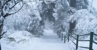 China Chengdu Dujiangyan Leshan Siguniangshan - ทัวร์จีน ซุปตาร์ เฉิงตู ตูเจียงเอี้ยน เล่อซาน เขาสี่ดรุณี ภูเขาหิมะวาวู่ ไม่ลงร้าน