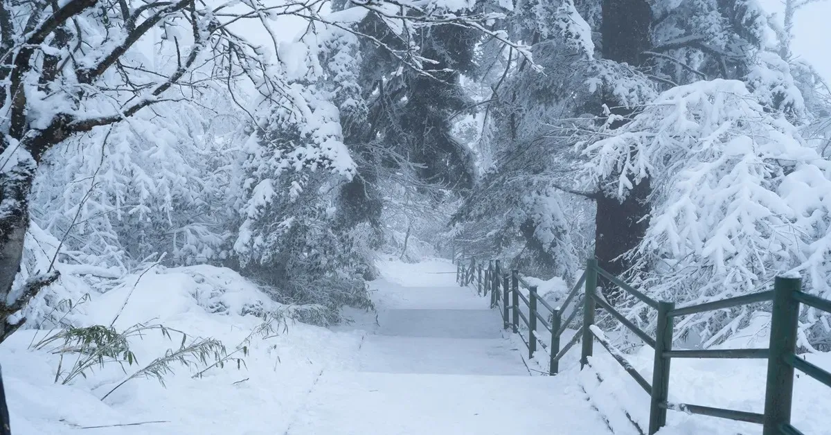 China Chengdu Wawu Mountain - ทัวร์จีน เฉิงตู ขึ้นกระเช้าชมวิวพาโนรามา 360° ที่ภูเขาหิมะวาวู่ (ลงร้าน)