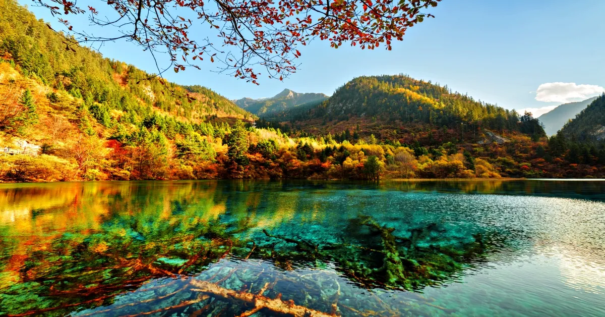China Chengdu Dujiangyan Siguniangshan Jiuzhaigou Bipenggou Stay autumn - ทัวร์จีน เฉิงตู ตูเจียงเยี่ยน สี่ดรุณี จิ่วจ้ายโกว ปี้เผิงโกว ใบไม้เปลี่ยนสี ไม่ลงร้าน