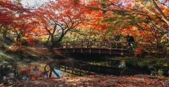 Japan Fukuoka Beppu Lake Kinrin Kokonoe Yume Free Day Autumn - ทัวร์ญี่ปุ่น ฟุกุโอกะ เบปปุ ทะเลสาบคิริน สะพานแขวนโคโคโนเอะ ยูเมะ อิสระท่องเที่ยว 1 วัน ใบไม้เปลี่ยนสี