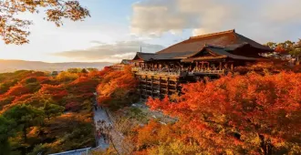 Japan Osaka Arashiyama Kobe Arashiyama Park Kiyomizu Dera Temple Autumn - ทัวร์ญี่ปุ่น โอซาก้า อาราชิยาม่า โกเบ ป่าไผ่อาราชิยาม่า วัดคิโยมิสึ ใบไม้เปลี่ยนสี