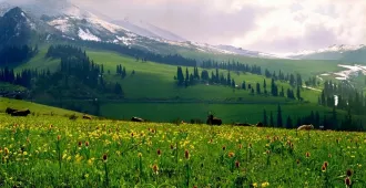 China Xinjiang - ทัวร์จีน ซินเจียง ทุ่งหญ้านาราถี (ไม่ลงร้าน)  