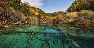 China Chengdu Dagu Glacier - ทัวร์จีน เฉิงตู ภูเขาหิมะการ์เซียนต๋ากู่ อุทยานหวงหลง