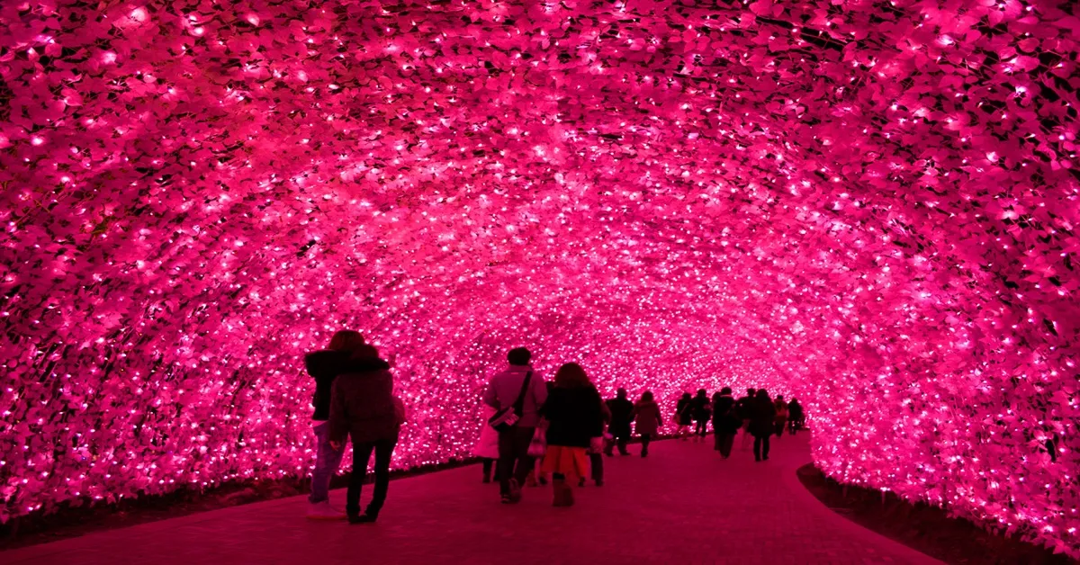 Japan Osaka Nagoya Takayama Shirakawago Nabana no Sato Illumination Winter - ทัวร์ญี่ปุ่น โอซาก้า นาโกย่า ทาคายาม่า ชิราคาวาโกะ ชมเทศกาลประดับไฟฤดูหนาวและลานกิจกรรมหิมะ 