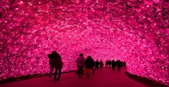 Japan Osaka Nagoya Takayama Shirakawago Nabana no Sato Illumination Winter - ทัวร์ญี่ปุ่น โอซาก้า นาโกย่า ทาคายาม่า ชิราคาวาโกะ ชมเทศกาลประดับไฟฤดูหนาวและลานกิจกรรมหิมะ 