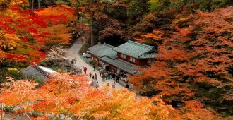 Japan Osaka Okayama Autumn - ทัวร์ญี่ปุ่น เรียล เรียล โอซาก้า โอคายาม่า จัดว่าเด็ด ใบไม้เปลี่ยนสี