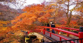 Japan Tokyo Kawagoe Ikaho Minakami Kajika Bridge Autumn - ทัวร์ญี่ปุ่น โตเกียว คาวาโกเอะ อิคาโฮ มินาคามิ สะพานคาจิคะ ใบไม้เปลี่ยนสี