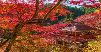 Japan Nagoya Kyoto Korankei Autumn - ทัวร์ญี่ปุ่น เรียล เรียล...นาโกย่า เกียวโต หุบเขาโครังเค ใบไม้เปลี่ยนสี