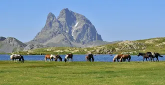 China Inner Mongolia Ordos Grasslands - ทัวร์จีน บินตรง มองโกเลียใน ออร์ดอส เที่ยวชมทุ่งหญ้าออร์ดอส (ลงร้าน)