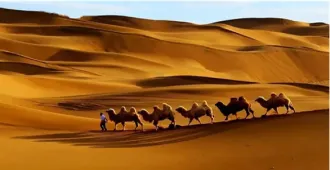 China Xinjiang Kanasu Hemu Ulumuqi Tulufan autumn - ทัวร์จีน ซินเจียง คานาสือ เหอมู่ อูลู่มู่ฉี ทูลูฟาน ชมหาด5สี ตะลุยทะเลทรายคุมตัก ใบไม้ร่วง