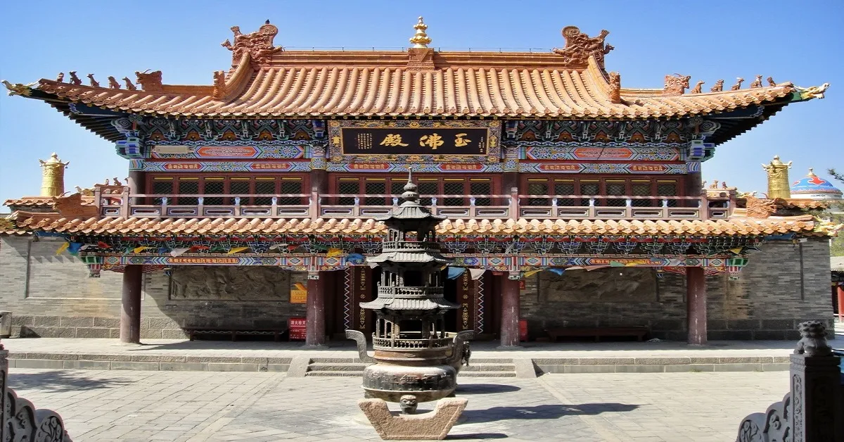 China Inner Mongolia Ordos Libberty Jones Camel riding Mongolia - ทัวร์จีน มองโกเลียใน ออร์ดอส ทุ่งหญ้ามองโกล ขี่อูฐชมทะเลทรายร้องเพลง (ไม่ลงร้าน)