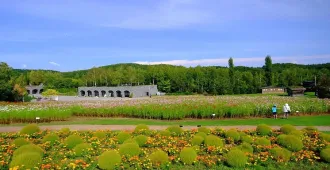 Japan Hokkaido  Sapporo Toya Hakodate  - ทัวร์ญี่ปุ่น ฮอกไกโด  ซัปโปโร  โทยะ ฮาโกดาเตะ 