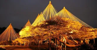Japan Nagoya Kamikoji Shirakawago - ทัวร์ญี่ปุ่น นาโกย่า คามิโกจิ ชมปราสาทกุฮาจมังเที่ยวเมืองเก่าทาคายาม่า 