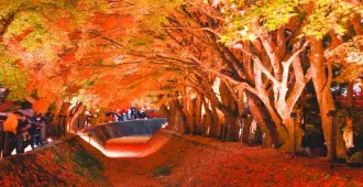 Japan Nagoya Shirakawago - ทัวร์ญี่ปุ่น เรียล เรียล นาโกย่า ชิราคาวาโกะ เปลี่ยนสี มันจ้าซะเหลือเกินนน