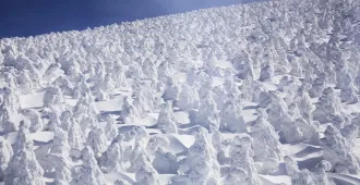 Japan Sendai Yamagata Zao Ice Monster - ทัวร์ญี่ปุ่น เซ็นได ยามากาตะ นั่งกระเช้าชมภูเขาซาโอะ ไอซ์มอนสเตอร์ 