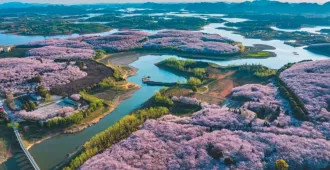 China Nanning Guizhou - ทัวร์จีน หนานหนิง กุ้ยโจว ซากุระหมื่นไร่ หมู่บ้านม้งพันหลัง น้ำตกเต๋อเทียน (ไม่ลงร้าน) 