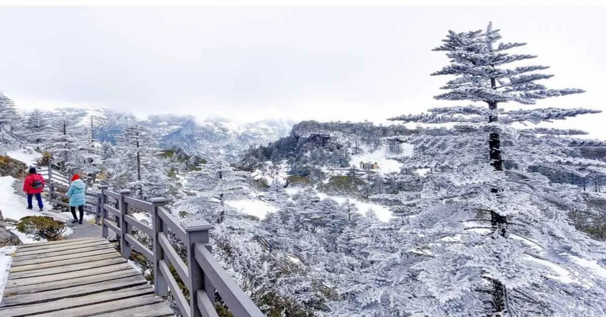 China Kunming Jiaozi Snow Mountain Dongchuan - ทัวร์จีน คุนหมิง ภูเขาหิมะเจี้ยวจื่อ ตงชวน 