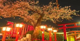 Japan Osaka Nakoya Inuyama Kobe Alpine Takayama Matsumoto Area Autumn - ทัวร์ญี่ปุ่น โอซาก้า นาโกย่า อินุยามะ โกเบ เส้นทางสายอัลไฟน์ทาเทยาม่า ใบไม้เปลี่ยนสี