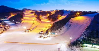 South Korea Nami Island Everland - ทัวร์เกาหลี เล่นสกี เกาะนามิ สวนสนุกเอเวอร์แลนด์