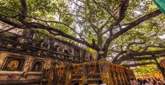 India Nepal Lumbini Vana  - ทัวร์อินเดีย เนปาล ชมสวนลุมพินีวันและ พุทธคยา ต้นโพธิ์แห่งการตรัสรู้