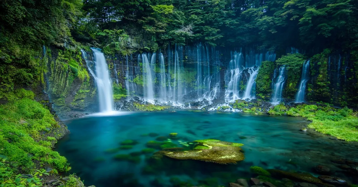 Japan Osaka Nagoya Shiraito Falls Nabana no Sato - ทัวร์ญี่ปุ่น โอซาก้า นาโกย่า เที่ยวน้ำตกชิราอิโตะและชมการแสดงไฟนาบะนาโนะ ซาโตะ