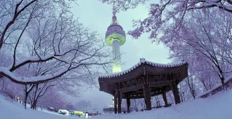 South Korea Nami Island Everland Ski Resort  -  ทัวร์เกาหลี เกาะนามิ สวนสนุกเอเวอร์แลนด์ ลานสกีรีสอร์ท
