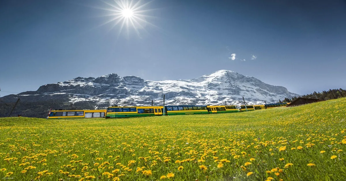 Europe Italy Switzerland France Jungfraujoch - ทัวร์ยุโรป อิตาลี สวิตเซอร์แลนด์ ฝรั่งเศส นั่งรถไฟชมวิวพิชิตยอดเขาจุงเฟราและชมถ้ำน้ำแข็ง 1,000 ปี     