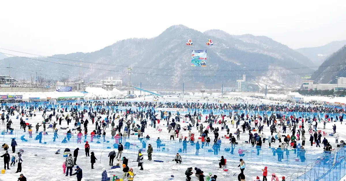 South Korea Seoul Hwacheon Ice Fishing Festival Everland Theme Park - เกาหลี โซล ฮวาชอน เทศกาลตกปลาน้ำแข็ง สวนสนุกเอเวอร์แลนด์ 