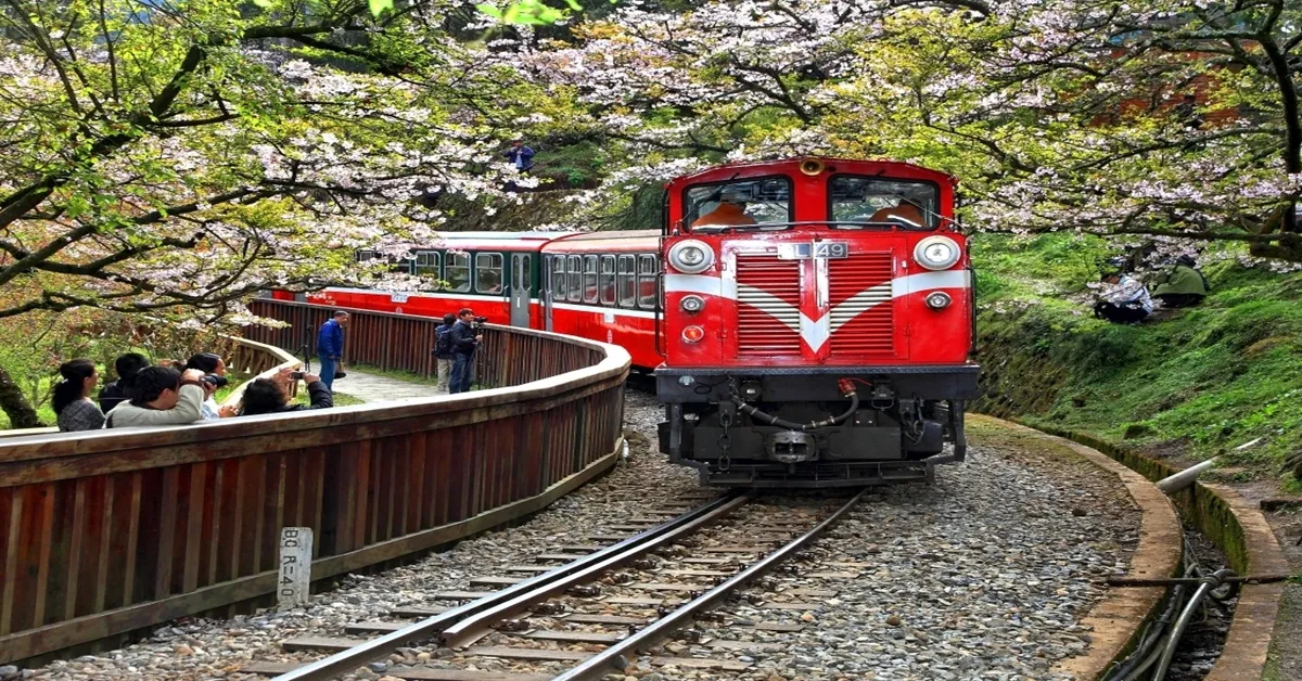 Taiwan Taipei Alishan Forest Railway Sun Moon Lake - ทัวร์ไต้หวัน ไทเป  นั่งรถไฟอาลีซานและล่องเรือสุริยันจันทรา